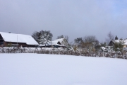 Een strakke sneeuwvlakte richting de Carol Klein tuin