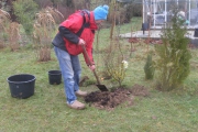 Een beetje compost en daar gaat ie.