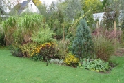 De zomerborder in de herfst met rudbeckia en solidago