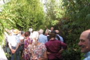 Enorme drukte in de tuin tijdens de open tuinen dag 16 september