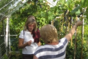 Enorme drukte in de tuin tijdens de open tuinen dag 16 september