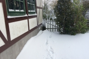 Sneeuwduin bij de voordeur