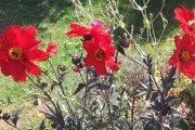 Bishop of Llandaf