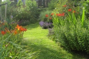 Met de klok mee: Daglelie, Ridderspoor, Schurftkruid, Lavendel, Crocosmia, Munt