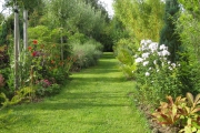 Wilgenlaantje vanuit het zuiden met rechts Phlox en Rodgersia