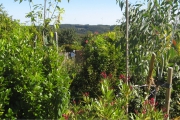 Blik op het zuidoosten vanaf het terras. Op de voorgrond Oleander.